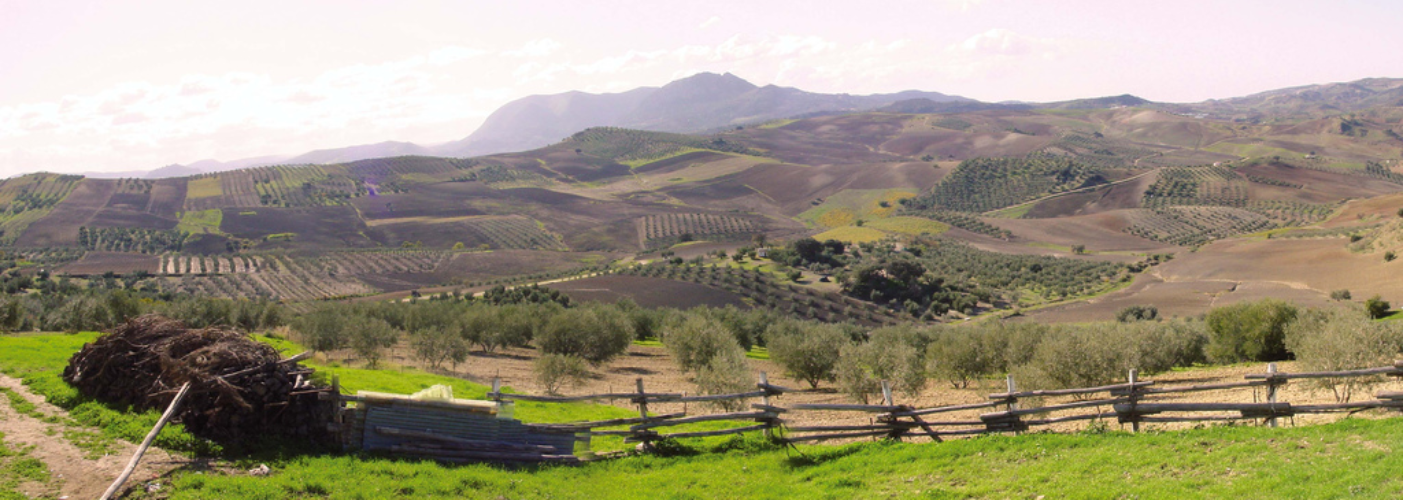 - Panoramica_Era_La_Loma-- SAUCEJO