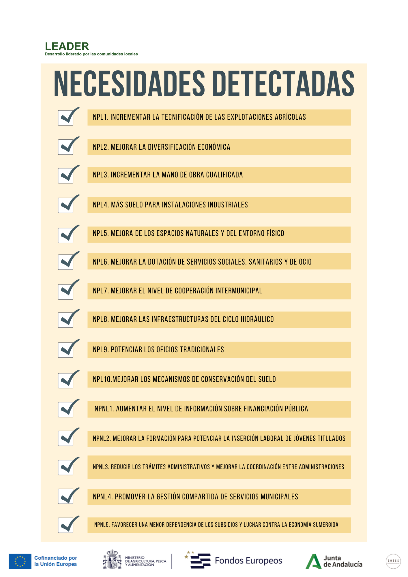 Necesidades detectadas