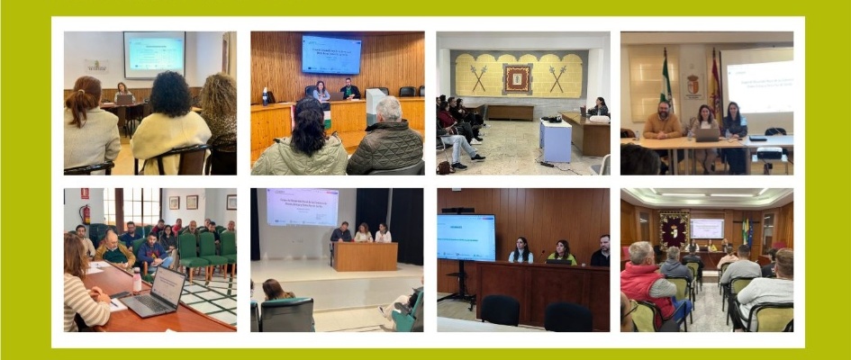 MODELO NOTICIA WEB portada