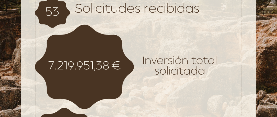 PROYECTOS LEADER