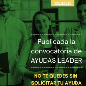 PUBLICACION CONVOCATORIA 26